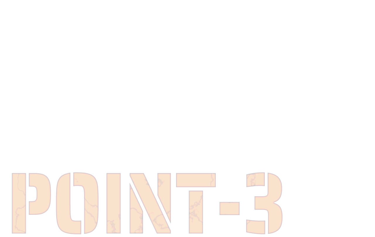POINT-3